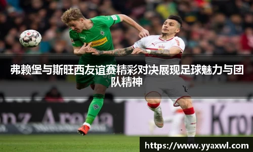 弗赖堡与斯旺西友谊赛精彩对决展现足球魅力与团队精神